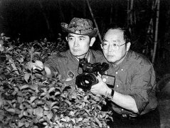 ��ͷ׷�ٺ����